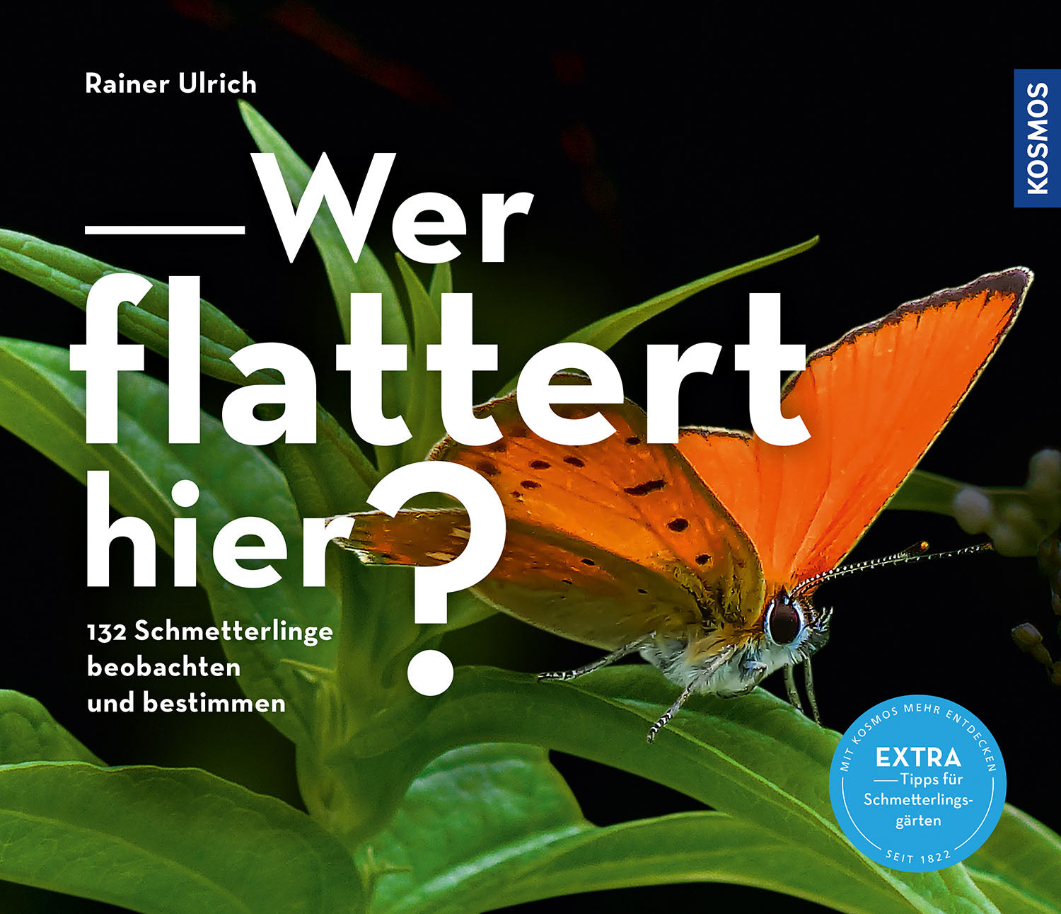 Who's fluttering here