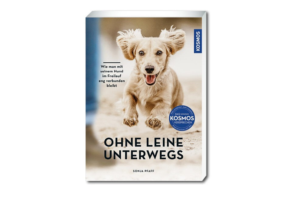 Frei und dennoch verbunden