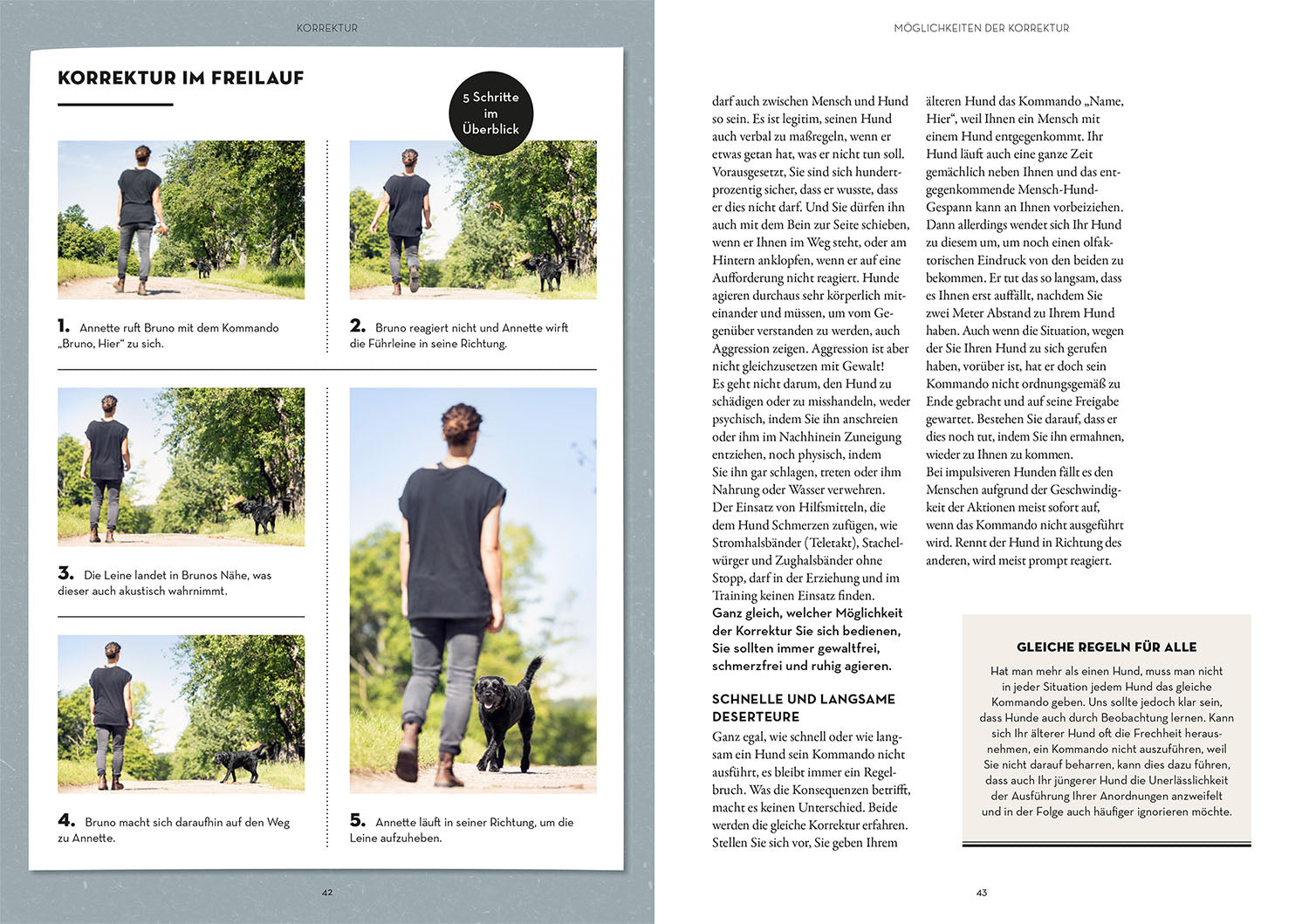 Walking off-leash
