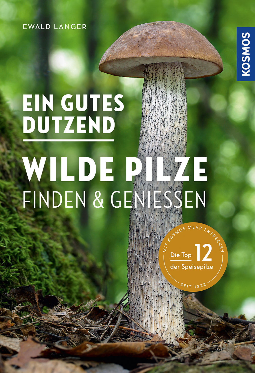 A good dozen wild mushrooms