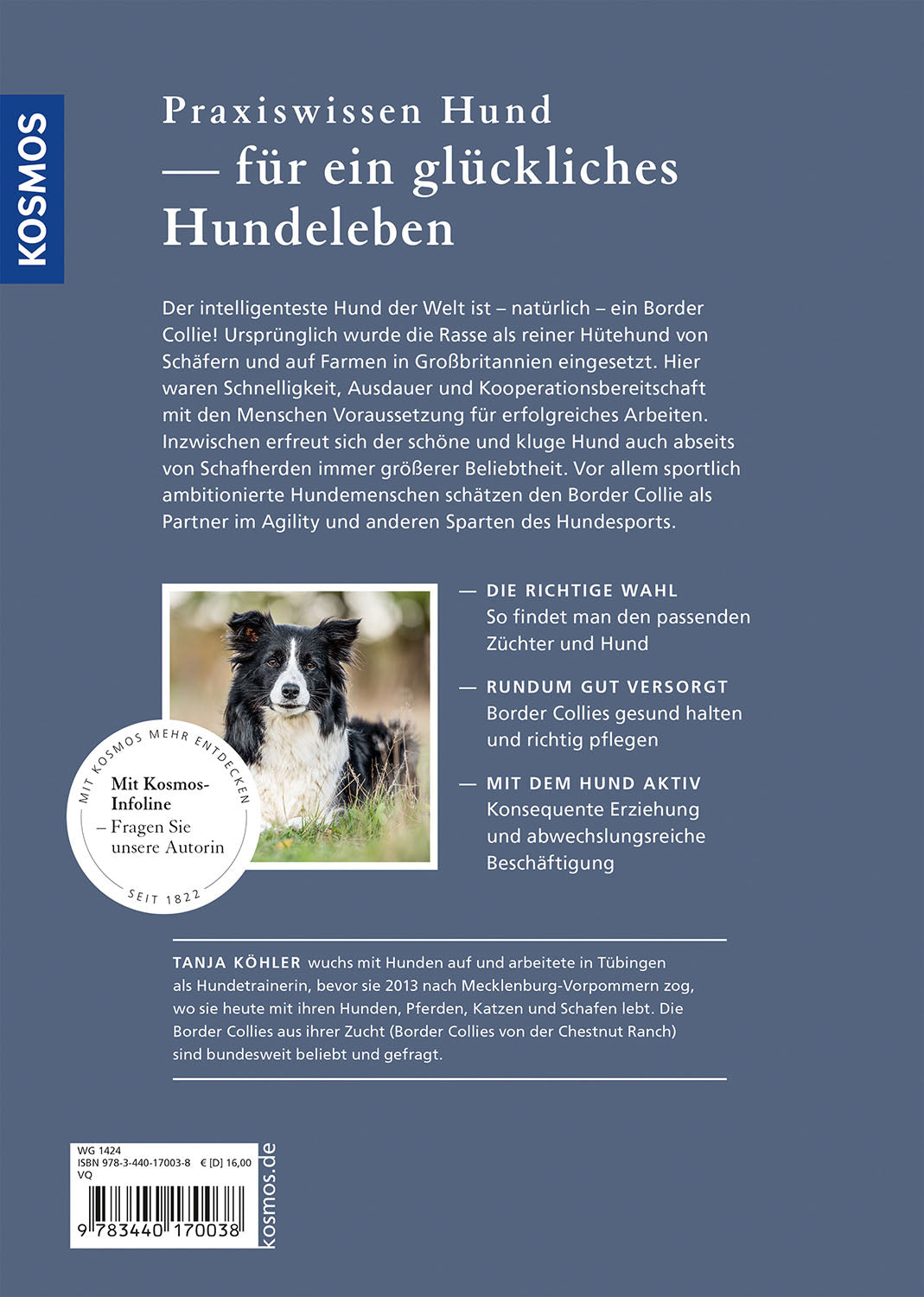 Border Collie