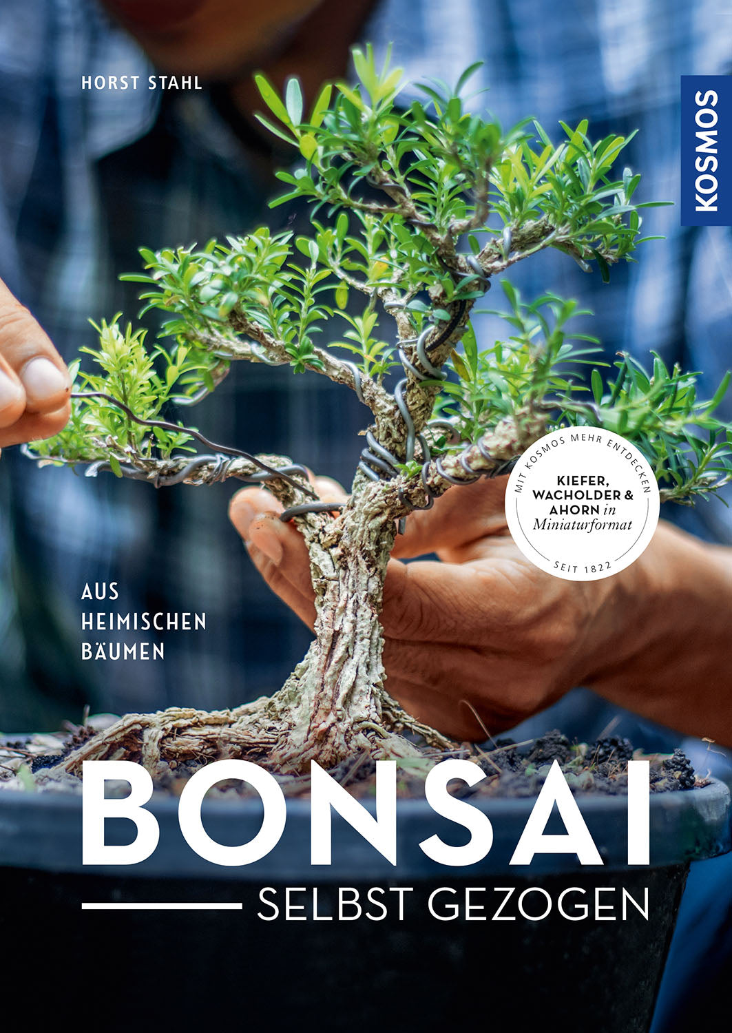 Bonsai grown from scratch
