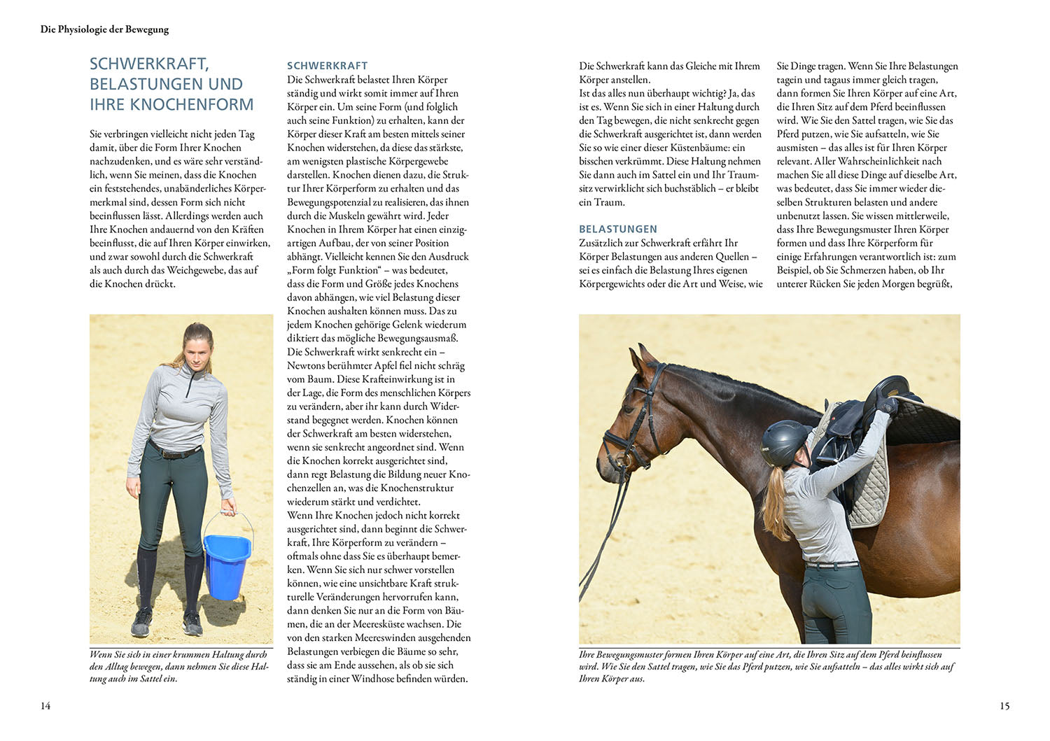 Biomechanics for the Rider