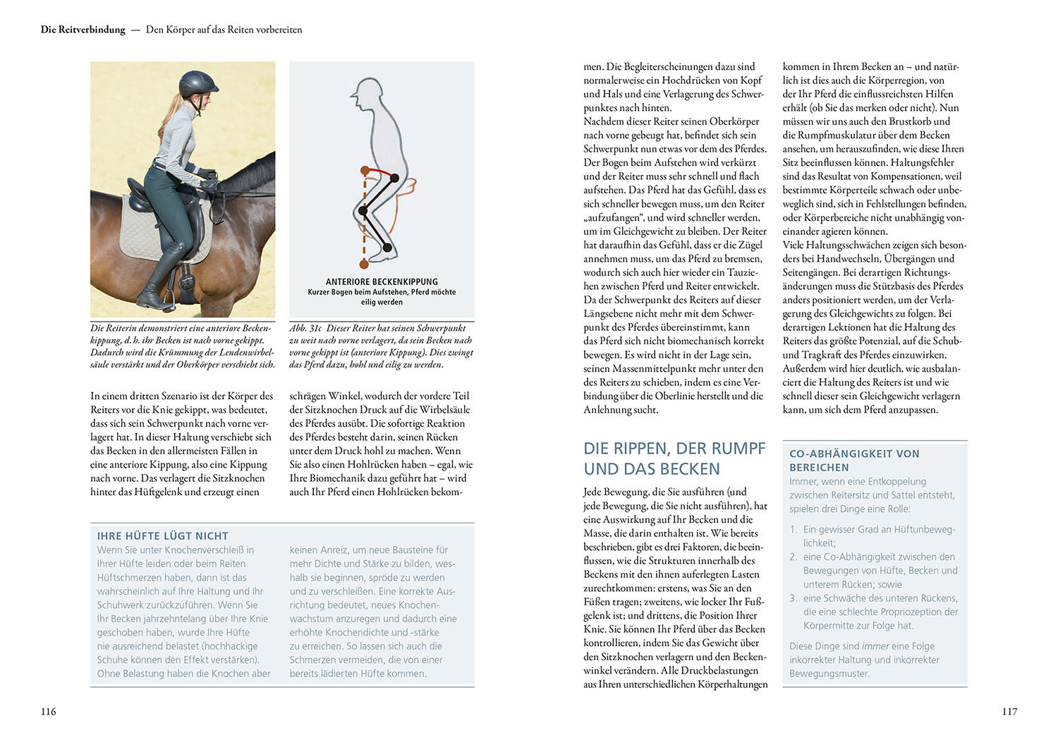 Biomechanics for the Rider