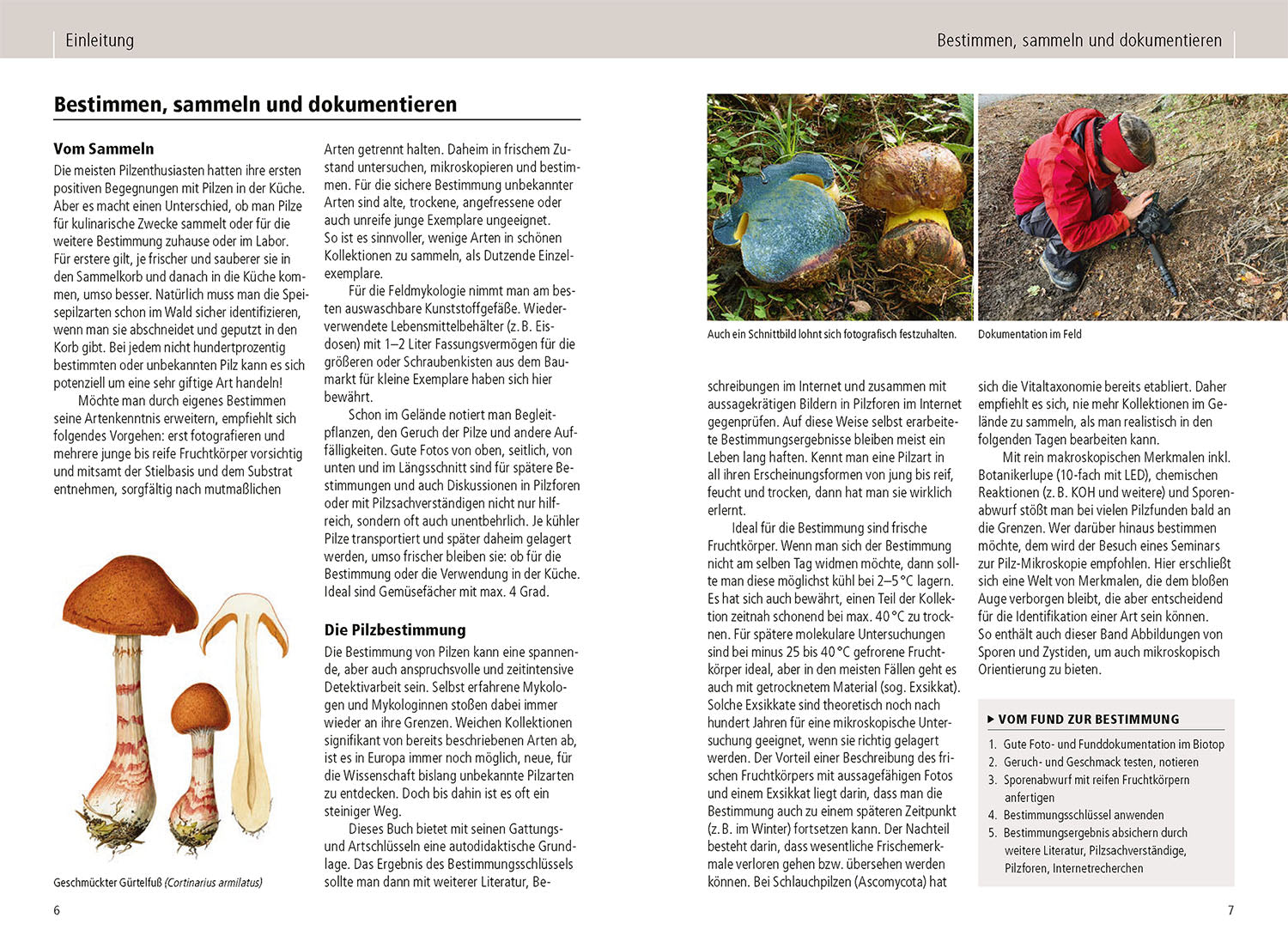 The Kosmos Handbook of Mushrooms
