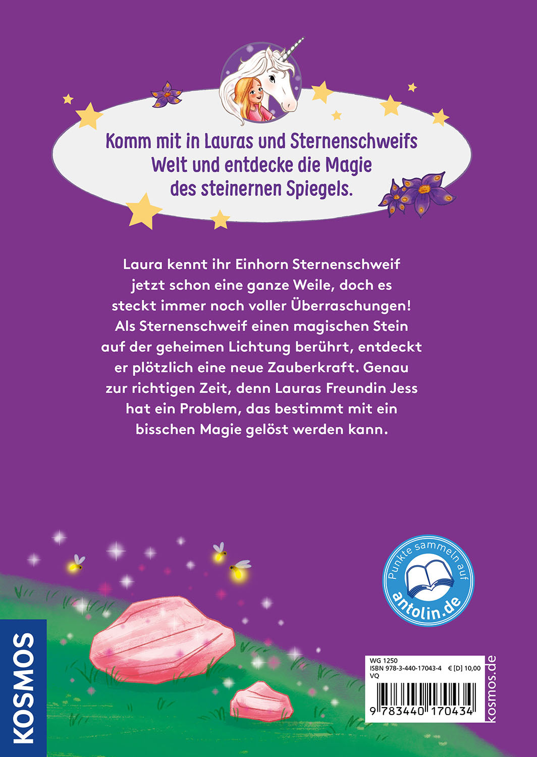 Sternenschweif, Der steinerne Spiegel
