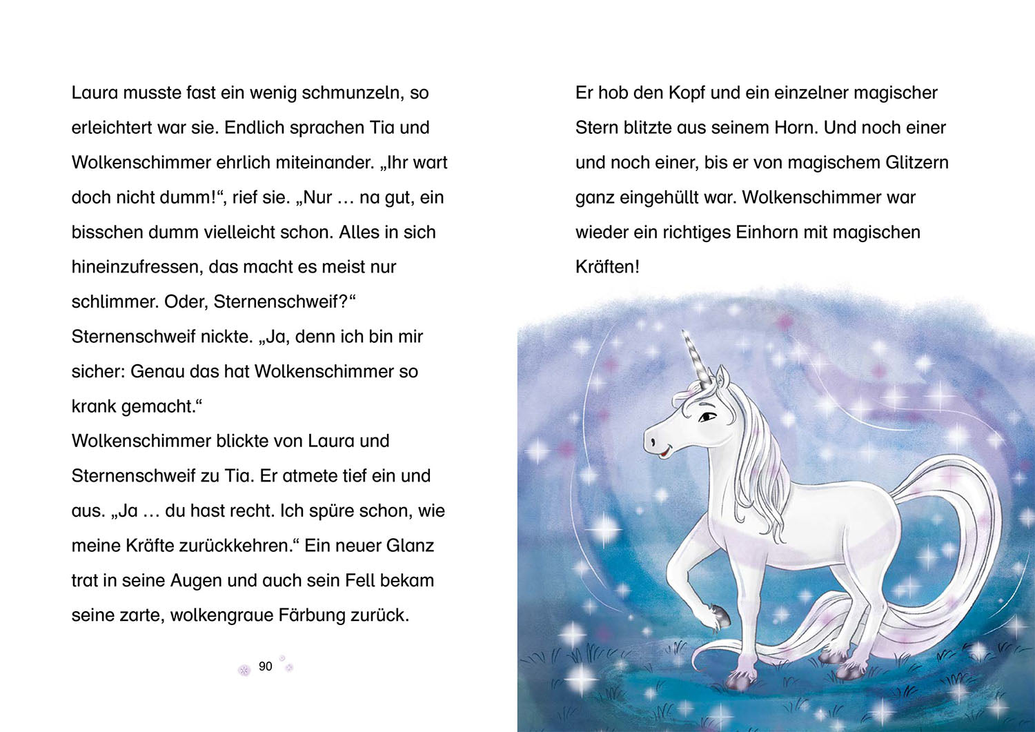 Sternenschweif, 71, Das verzauberte Bild
