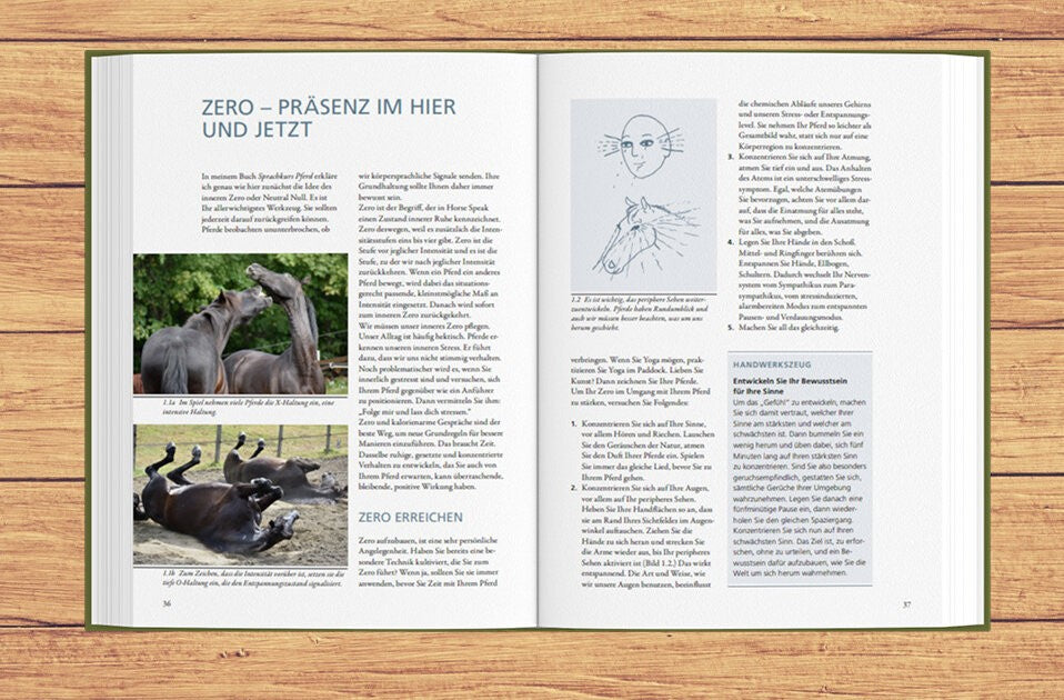 Wahrnehmung – Empathie – Bewegung