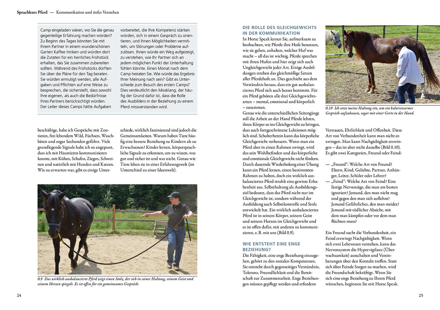 Horse Language Course - The Training Book