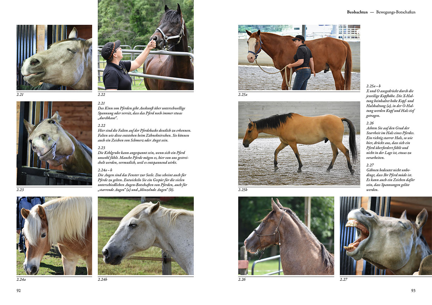 Horse Language Course - The Training Book