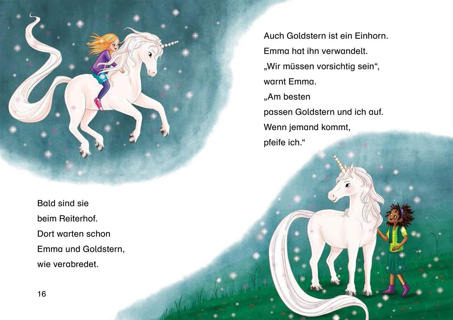 Sternenschweif, Bücherhelden 1. Klasse, Hilfe für die Ponys