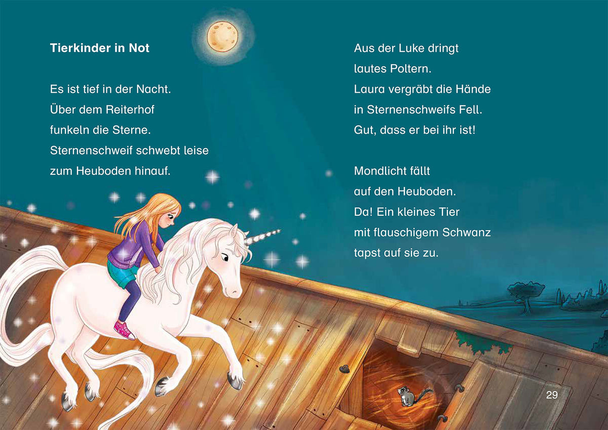Sternenschweif, Bücherhelden 1. Klasse, Hilfe für die Ponys
