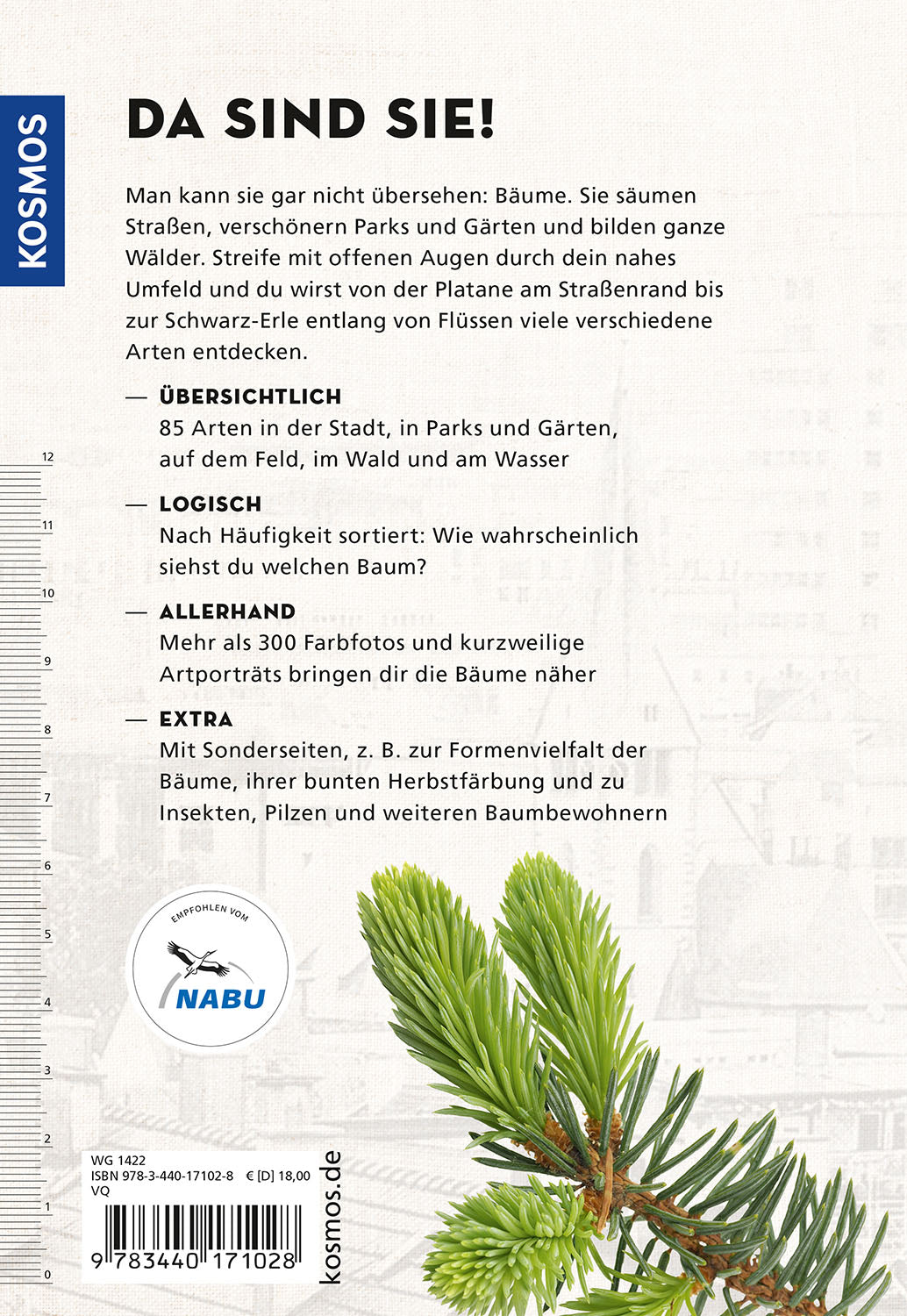 Look at you! Trees