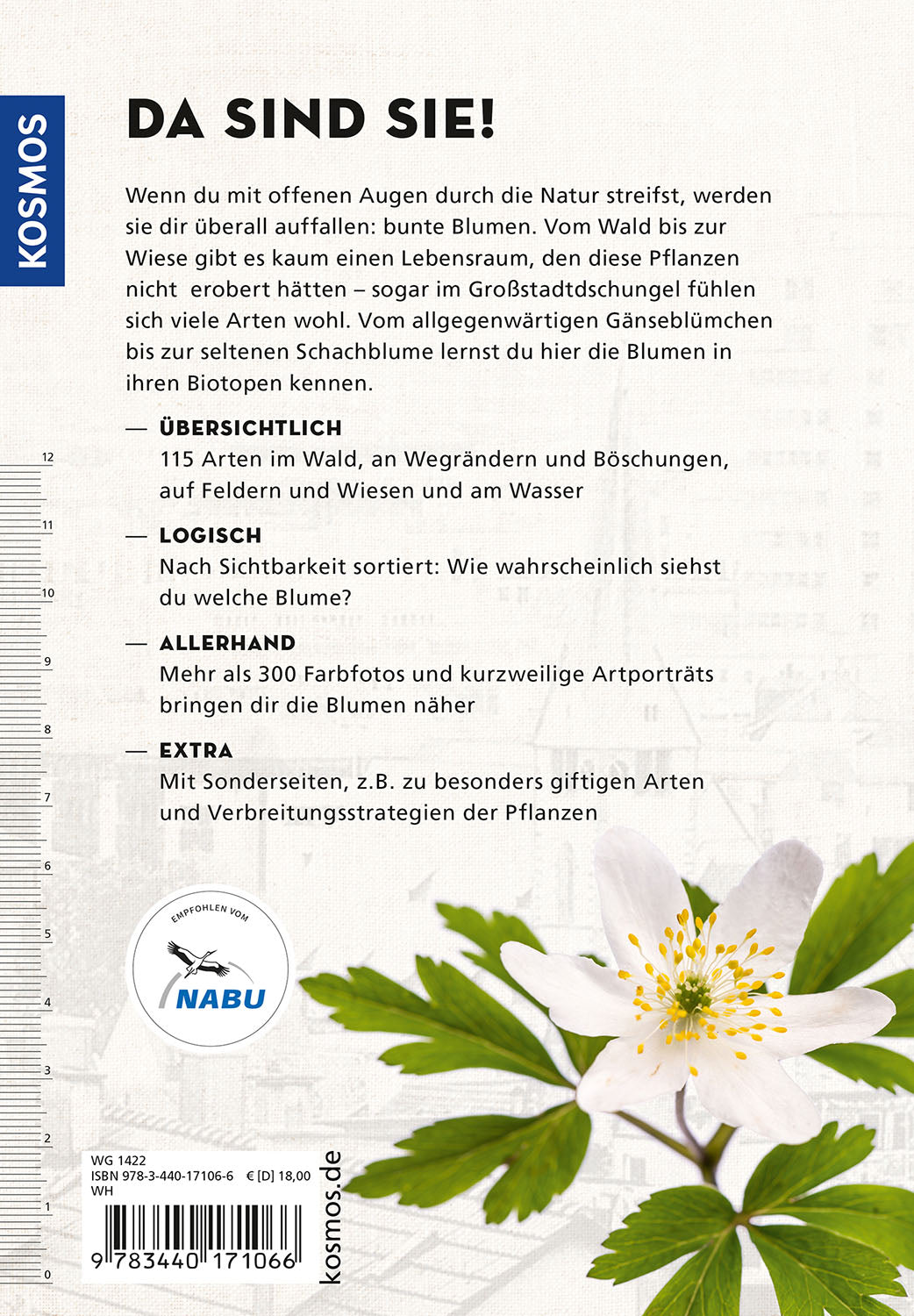 Die siehst du - Blumen