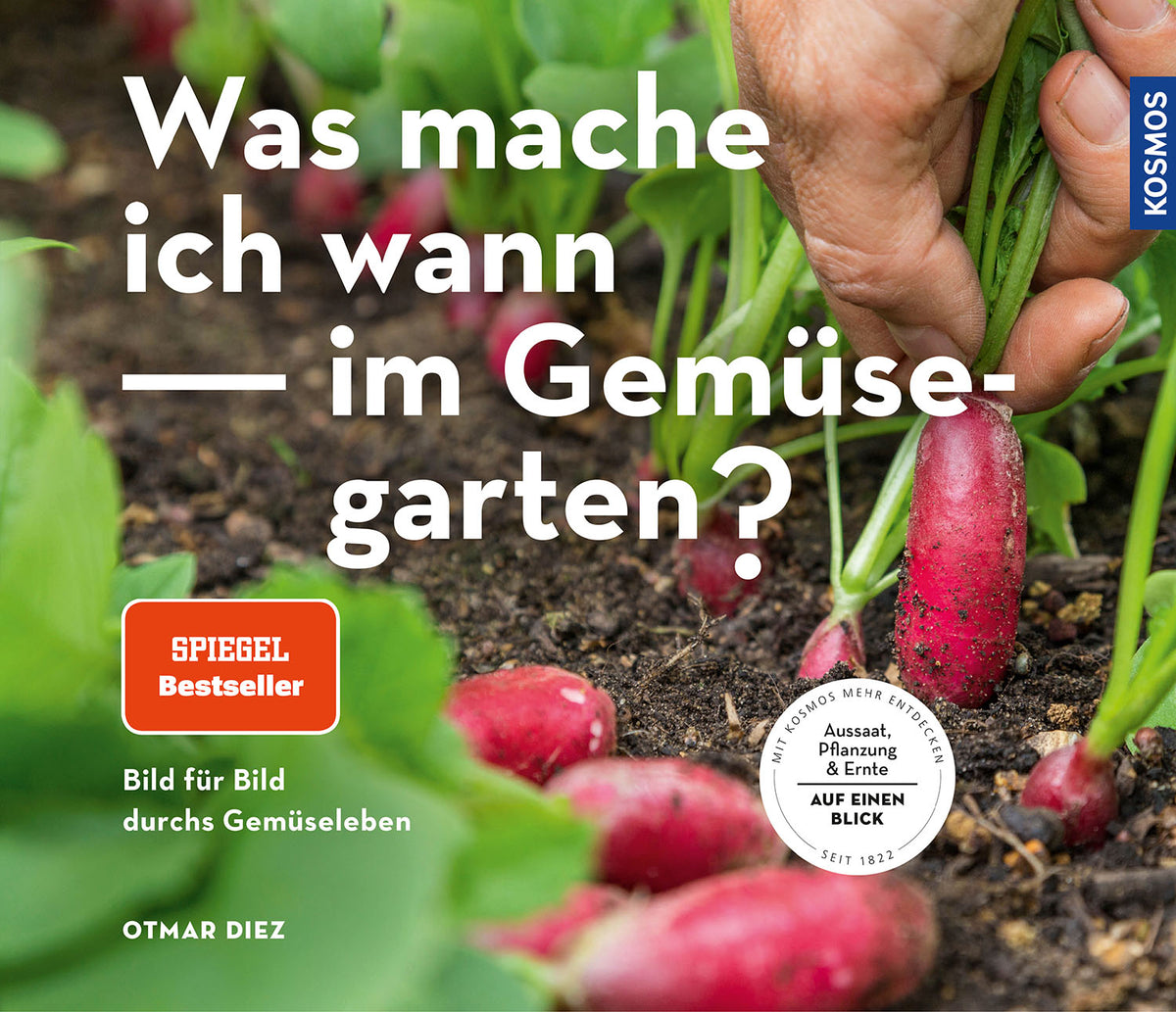 What do I do when in the vegetable garden?