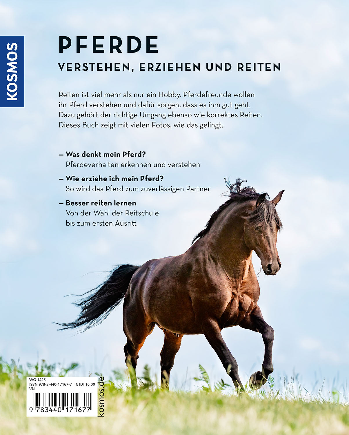 Pferde verstehen, erziehen und reiten
