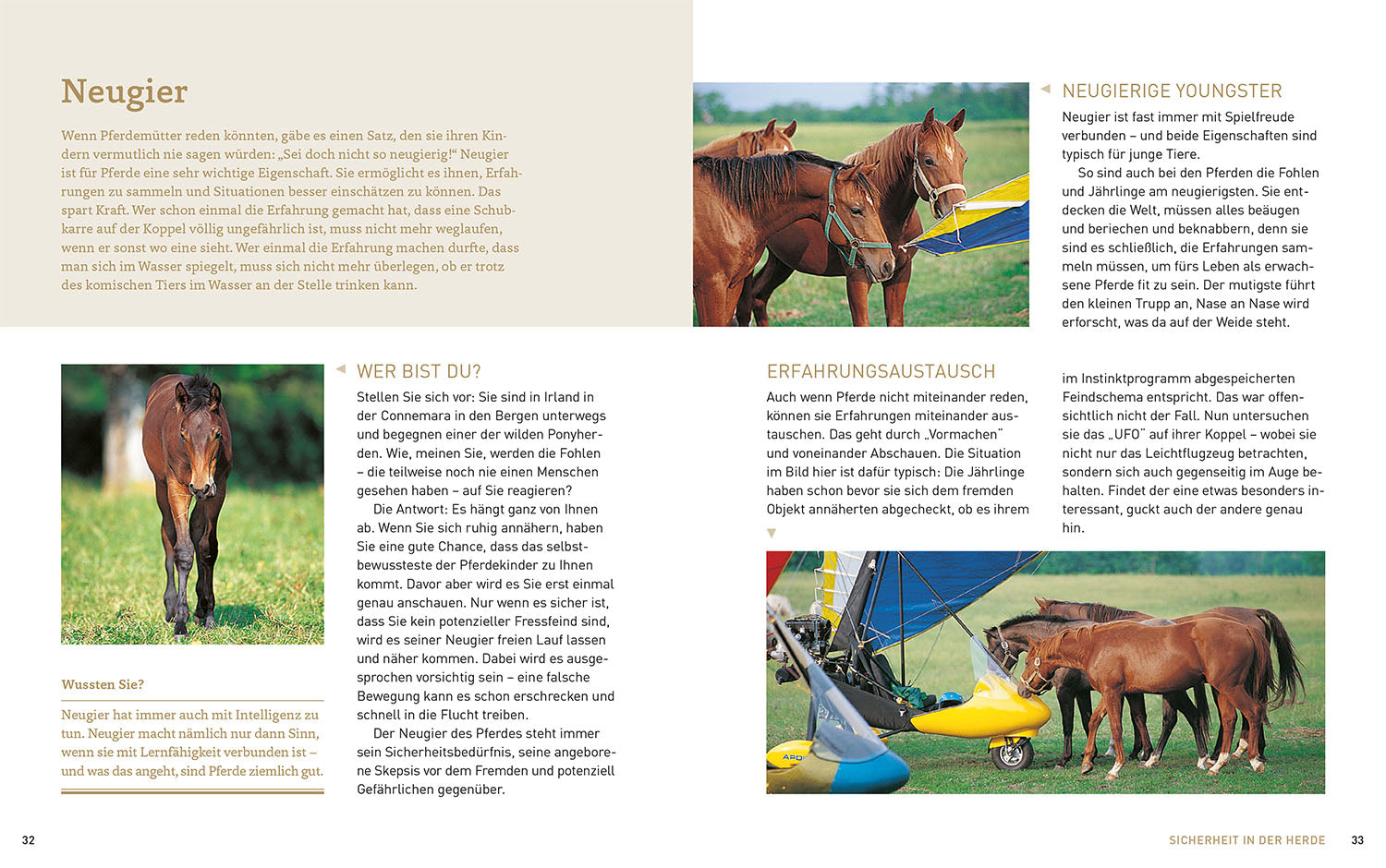 Pferde verstehen, erziehen und reiten