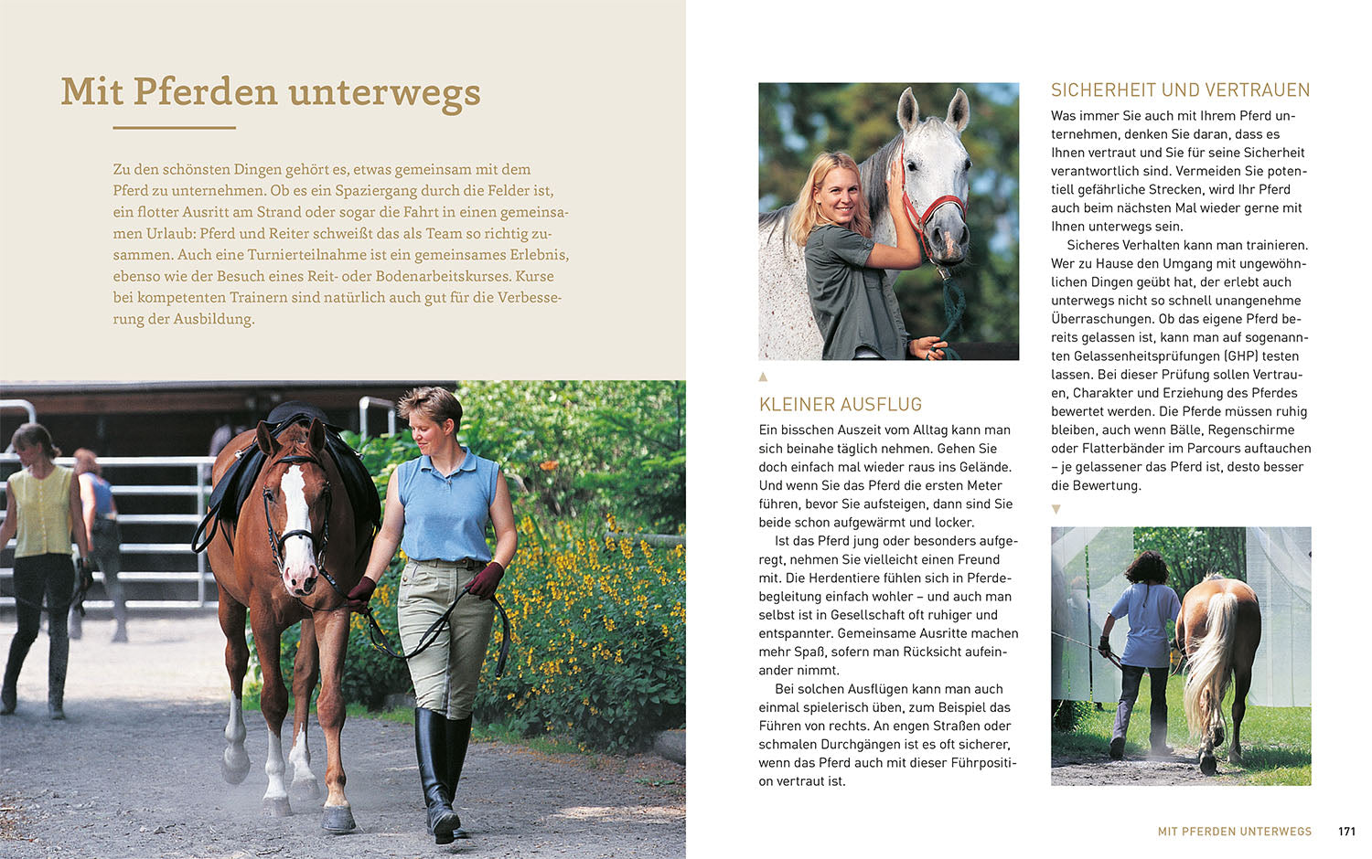 Pferde verstehen, erziehen und reiten