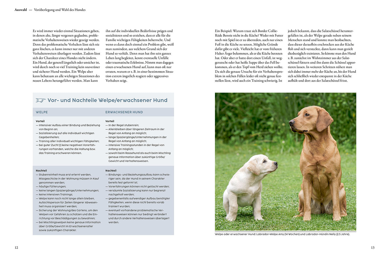 Puppy Training with Martin Rütter