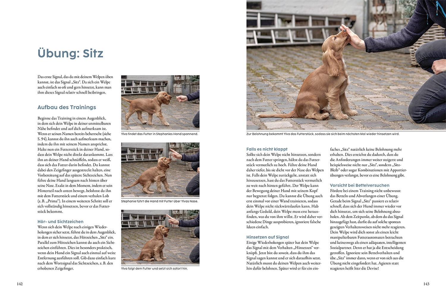 Puppy Training with Martin Rütter