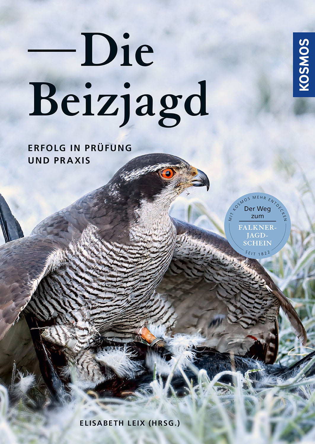 Falconry
