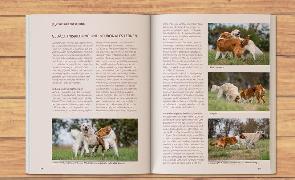 Spiel, Spaß und Kommunikation