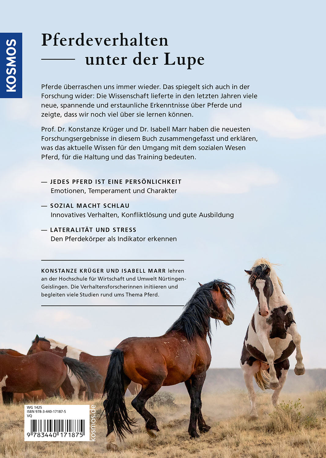 Research Meets Horse