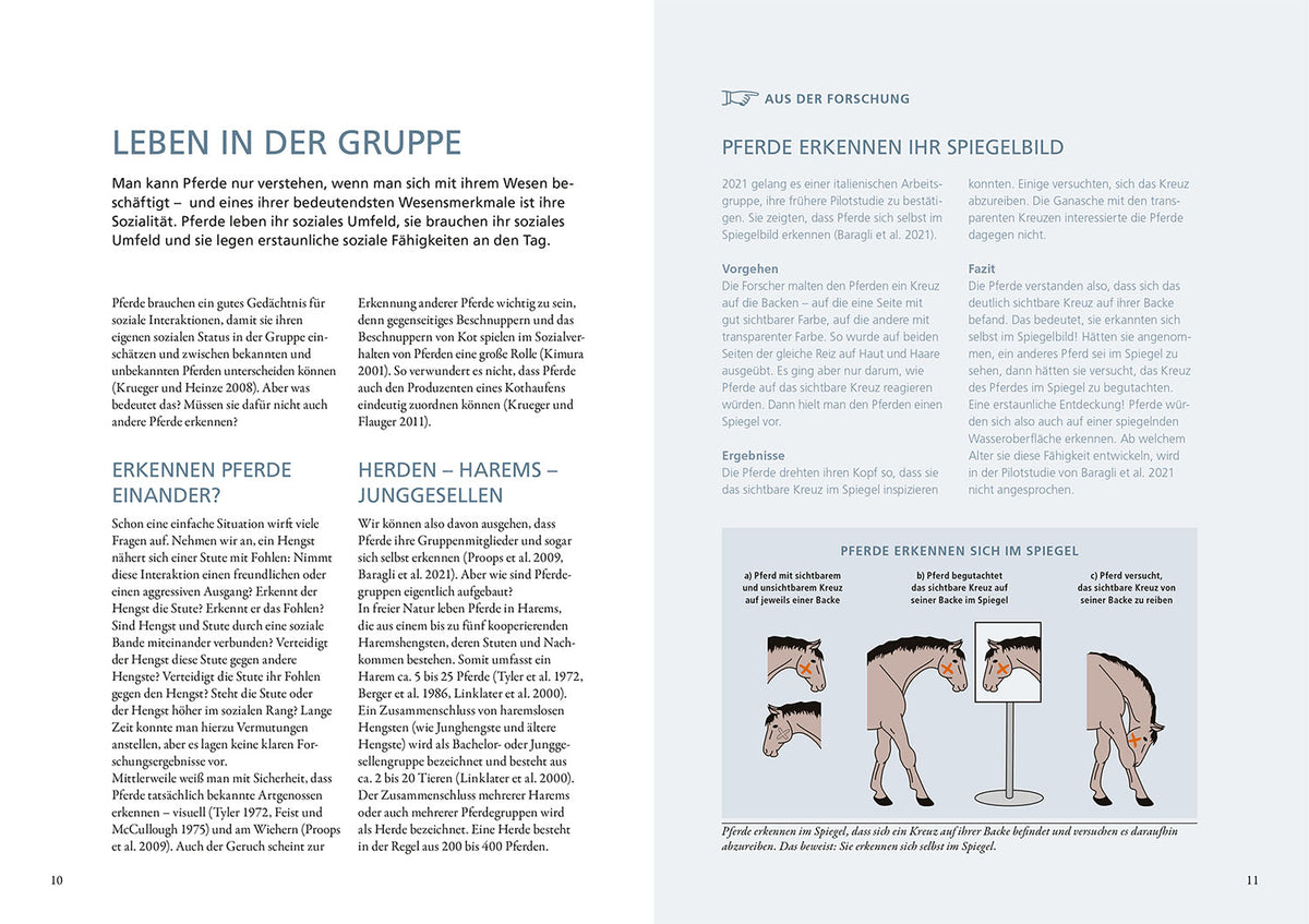 Forschung trifft Pferd