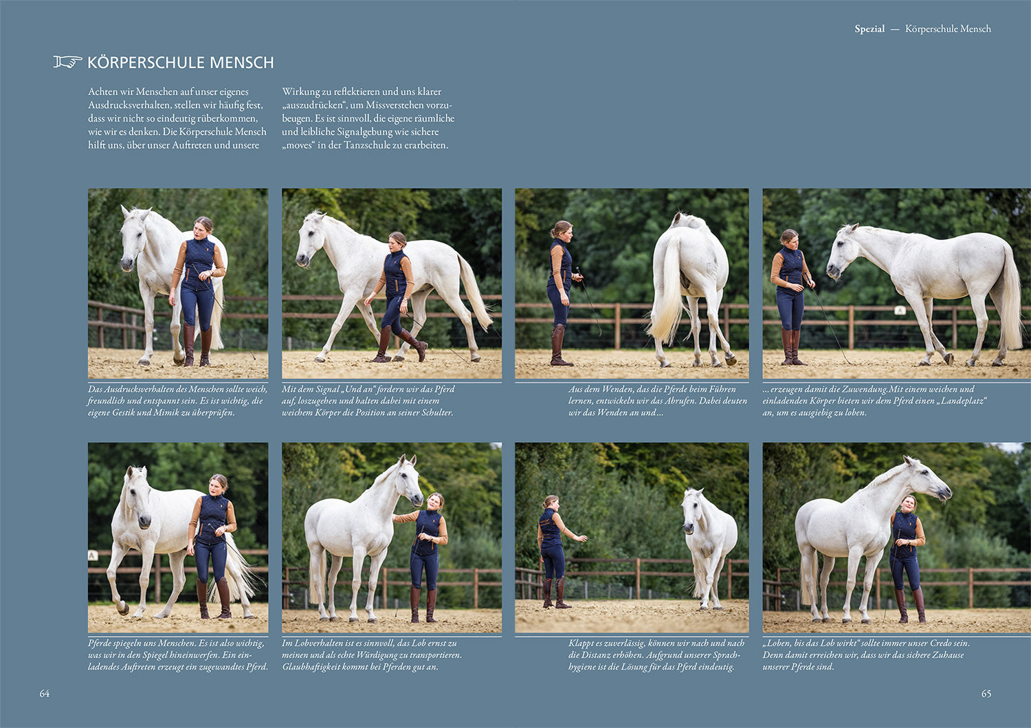 Horseshoeing and Farriery