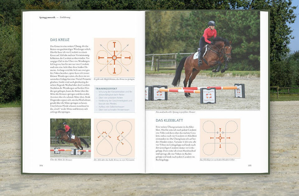 Vom Aufbau bis zur Übung: Cavaletti im Detail