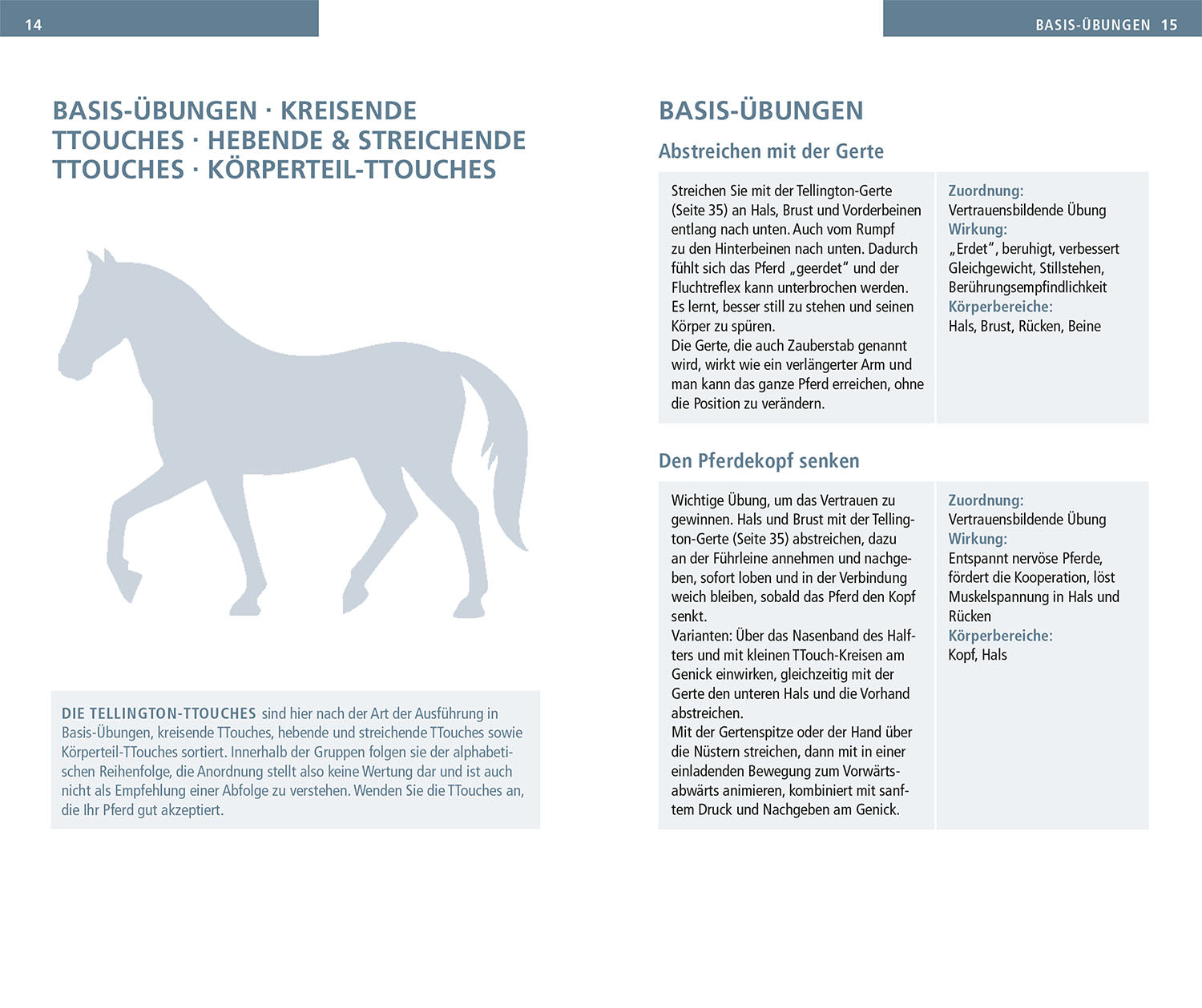 Tellington TTouch for Horses