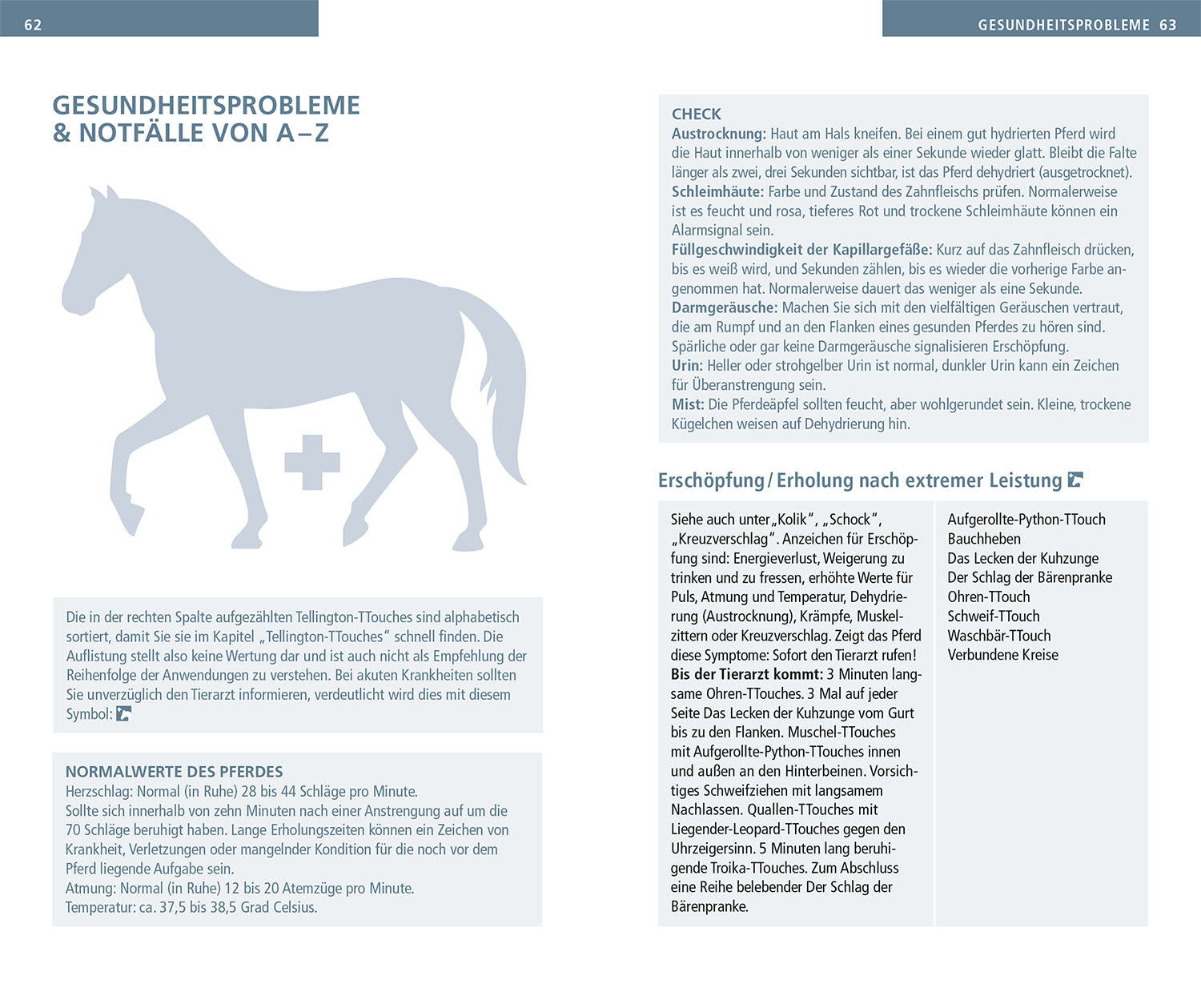 Tellington TTouch for Horses