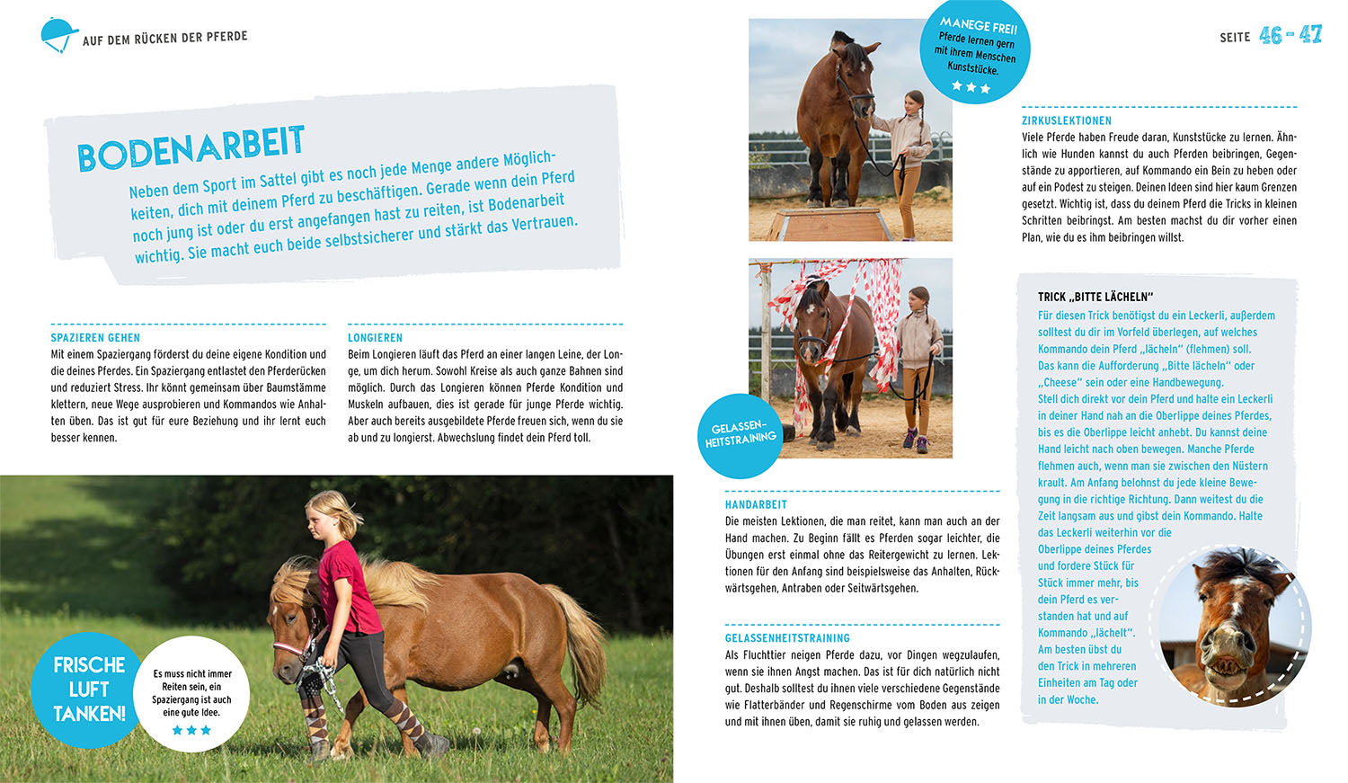 The Horse Book for Kids