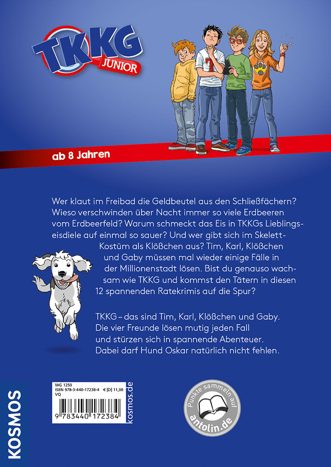 TKKG Junior, Kein Hitzefrei für Detektive - 12 spannende Ratekrimis