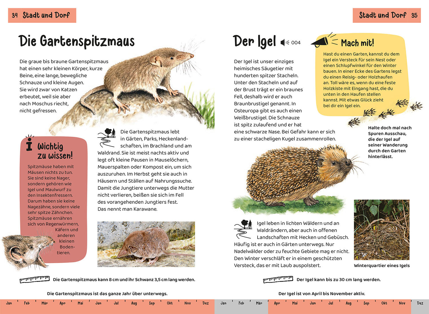 KOSMOS Animal and Plant Guides
