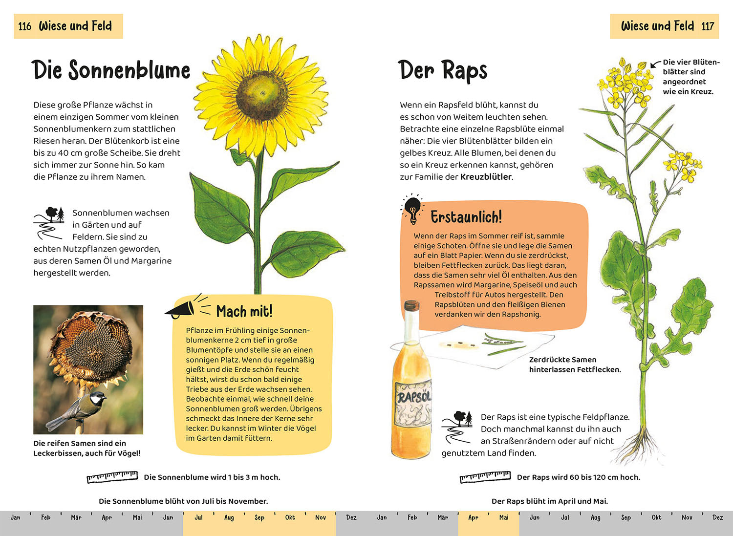 KOSMOS Animal and Plant Guides