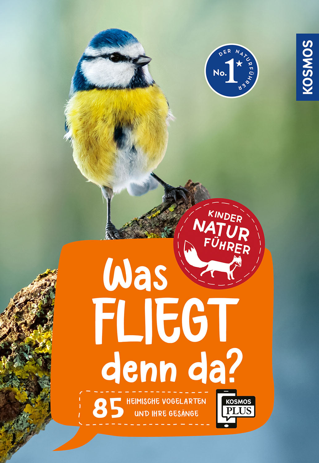 What's flying there? Children's Nature Guide