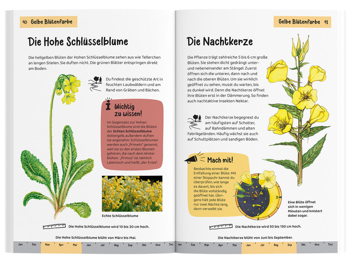 Was blüht denn da? Kindernaturführer