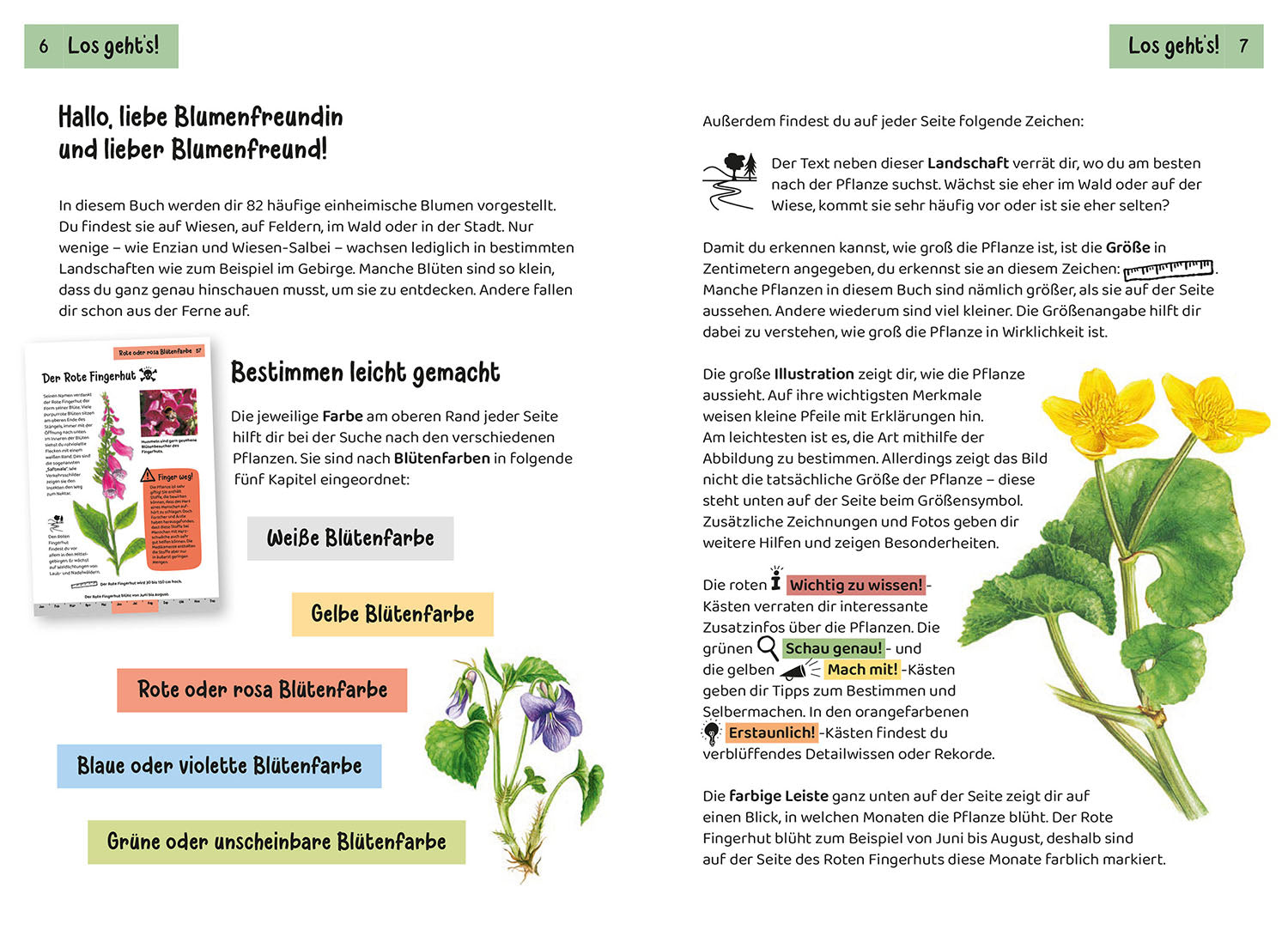Was blüht denn da? Kindernaturführer