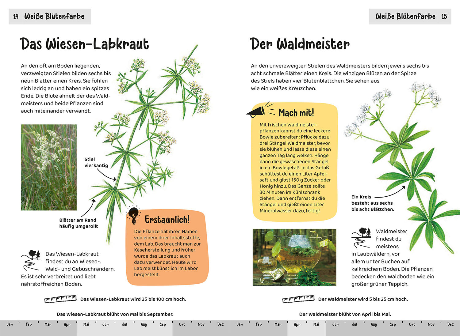 Was blüht denn da? Kindernaturführer