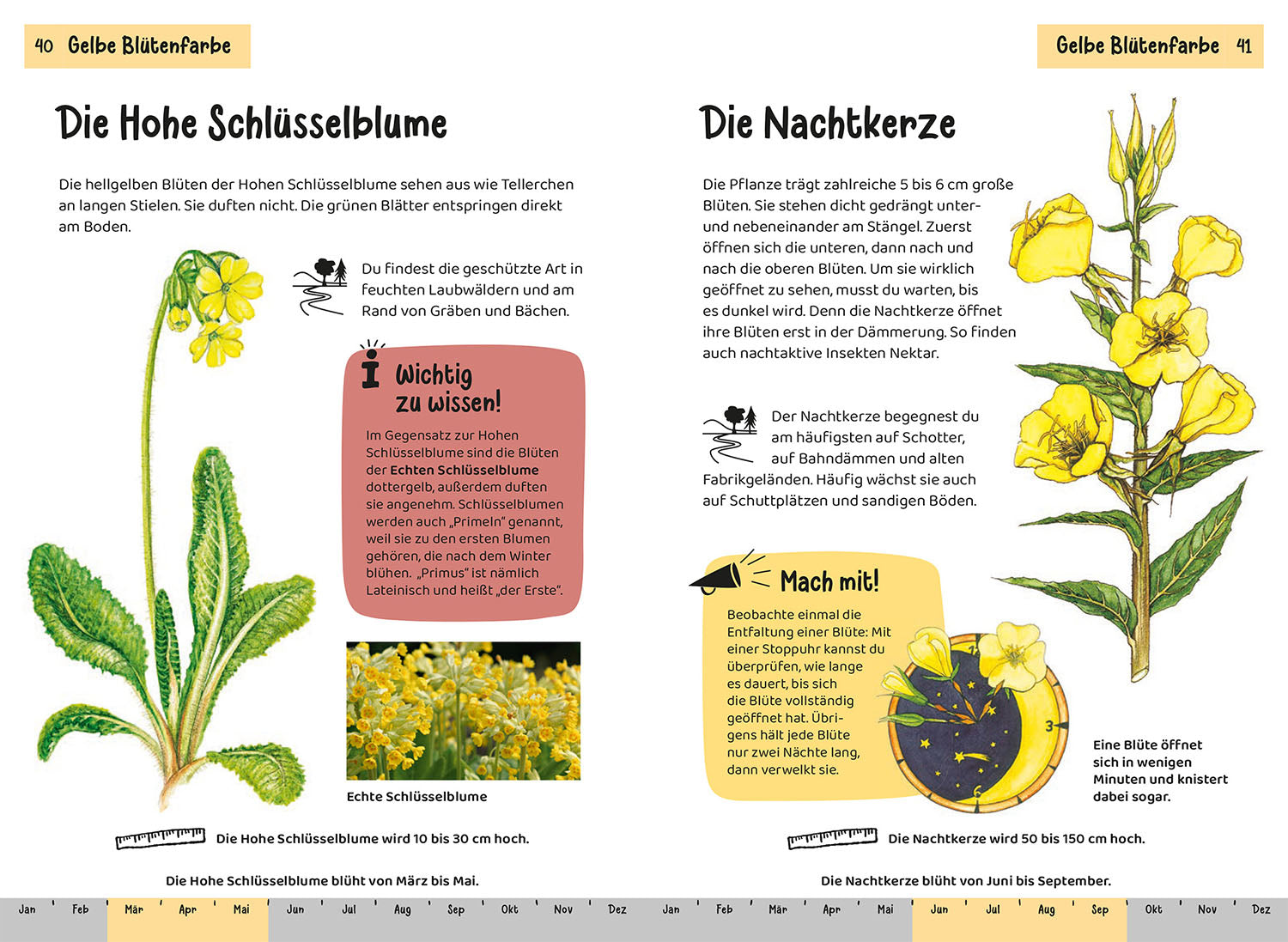 Was blüht denn da? Kindernaturführer