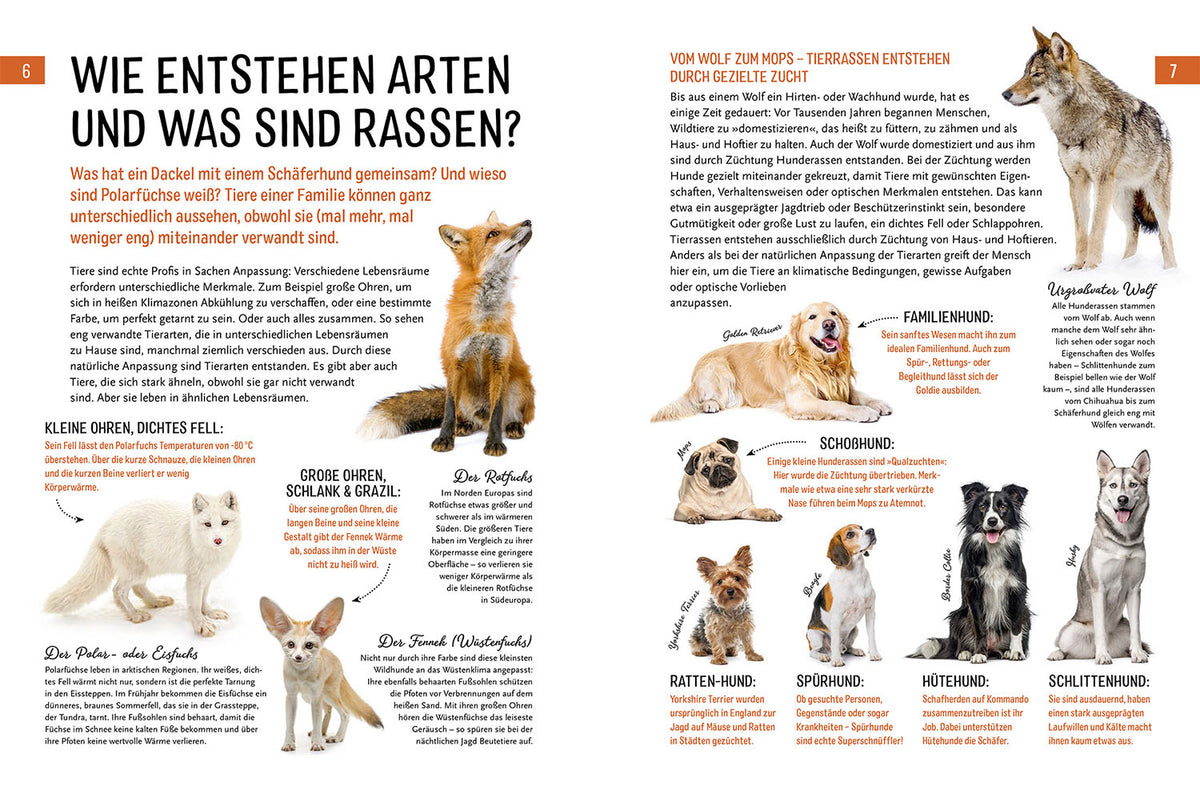 Heimische Tiere und ihre wilden Verwandten