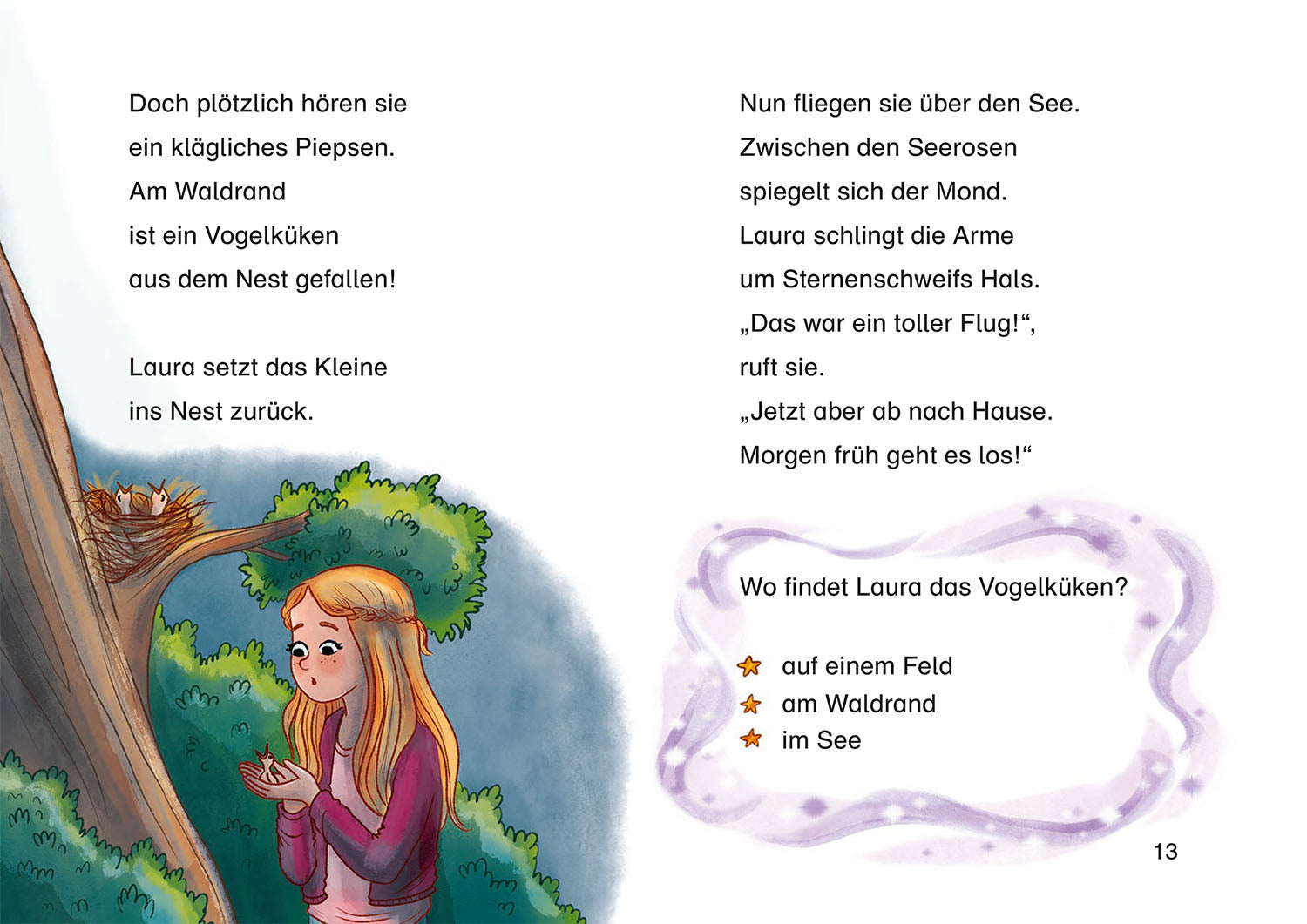Sternenschweif, Bücherhelden 1. Klasse, Ferien auf dem Reiterhof