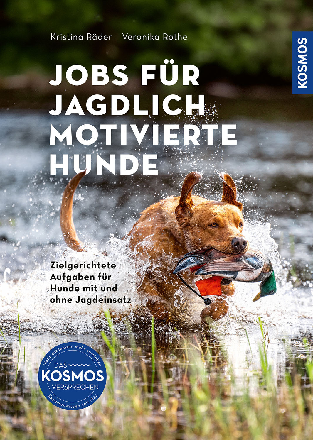 Jobs für jagdlich motivierte Hunde