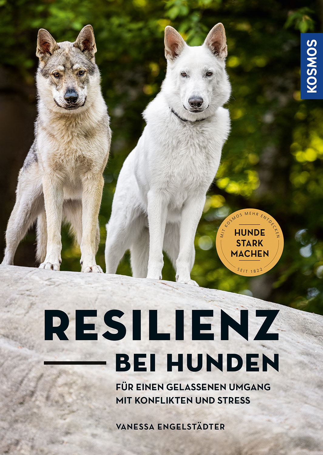 Resilience in Dogs