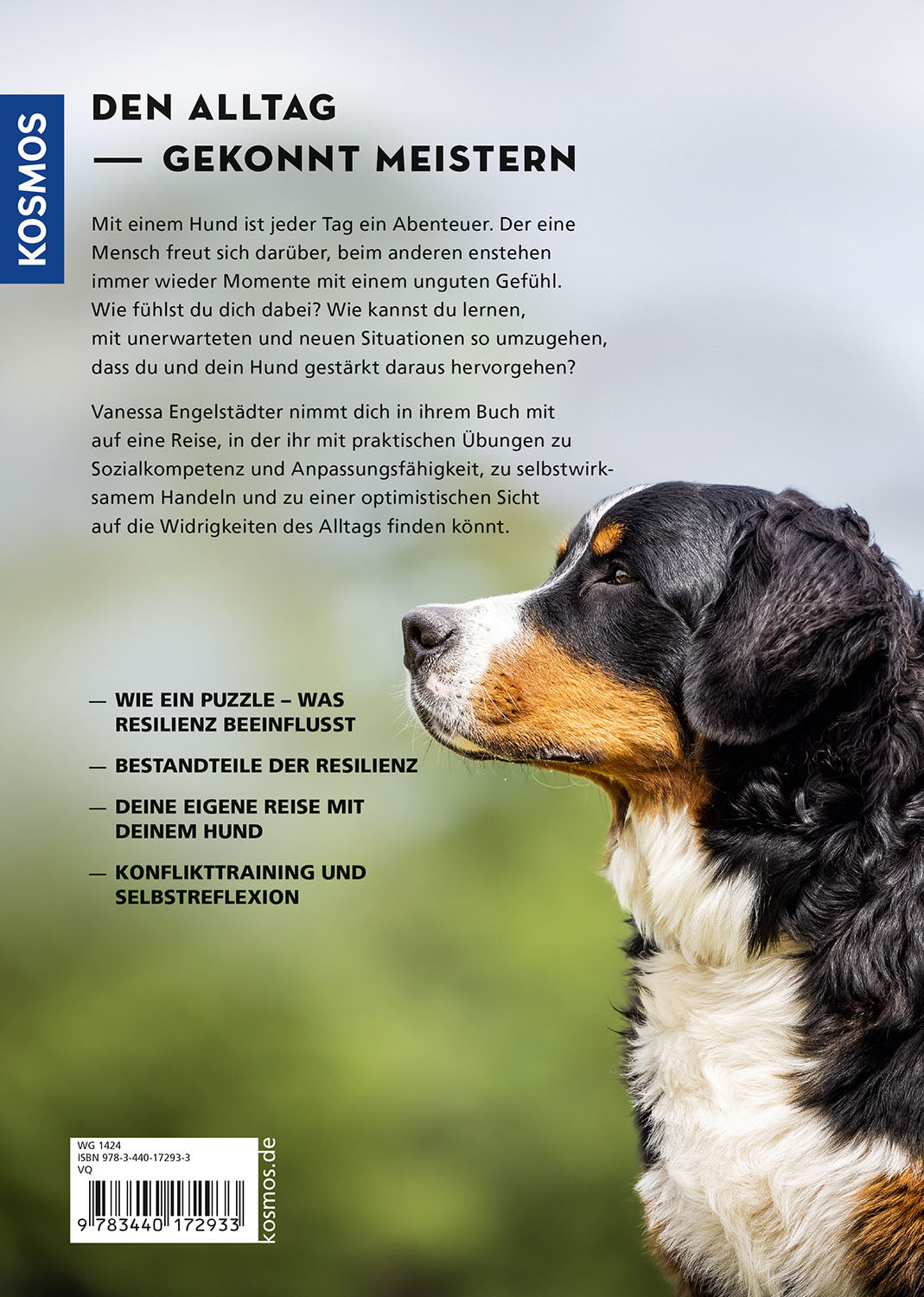 Resilienz bei Hunden