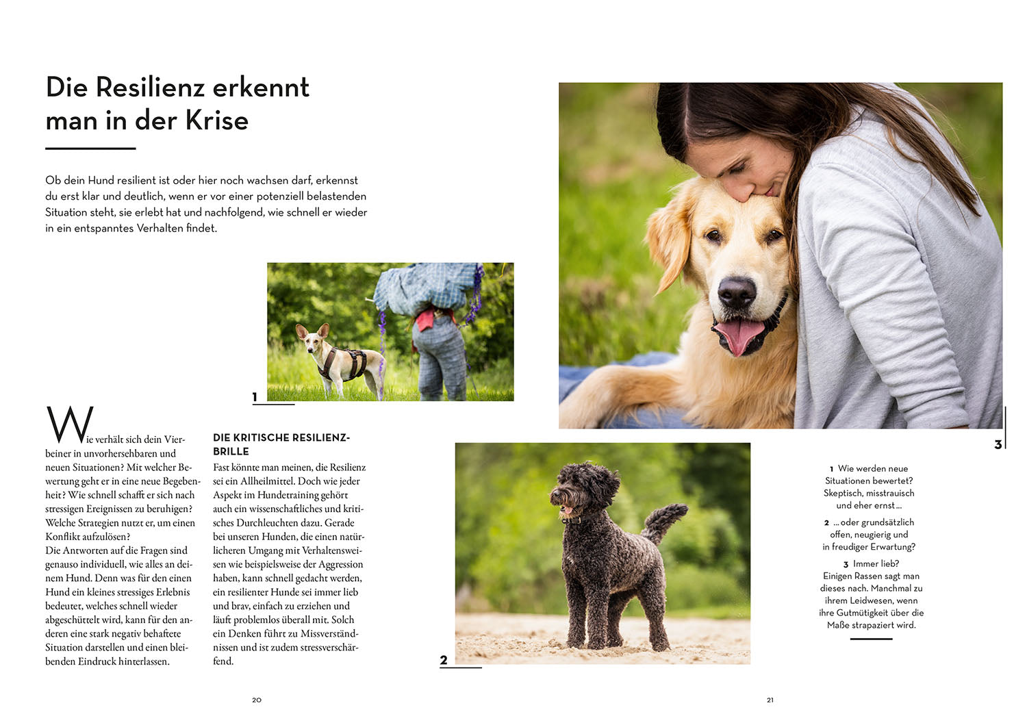 Resilienz bei Hunden