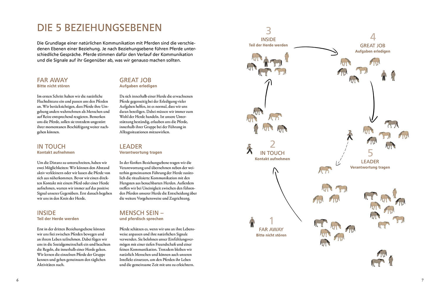 Im Gespräch mit wilden Pferden