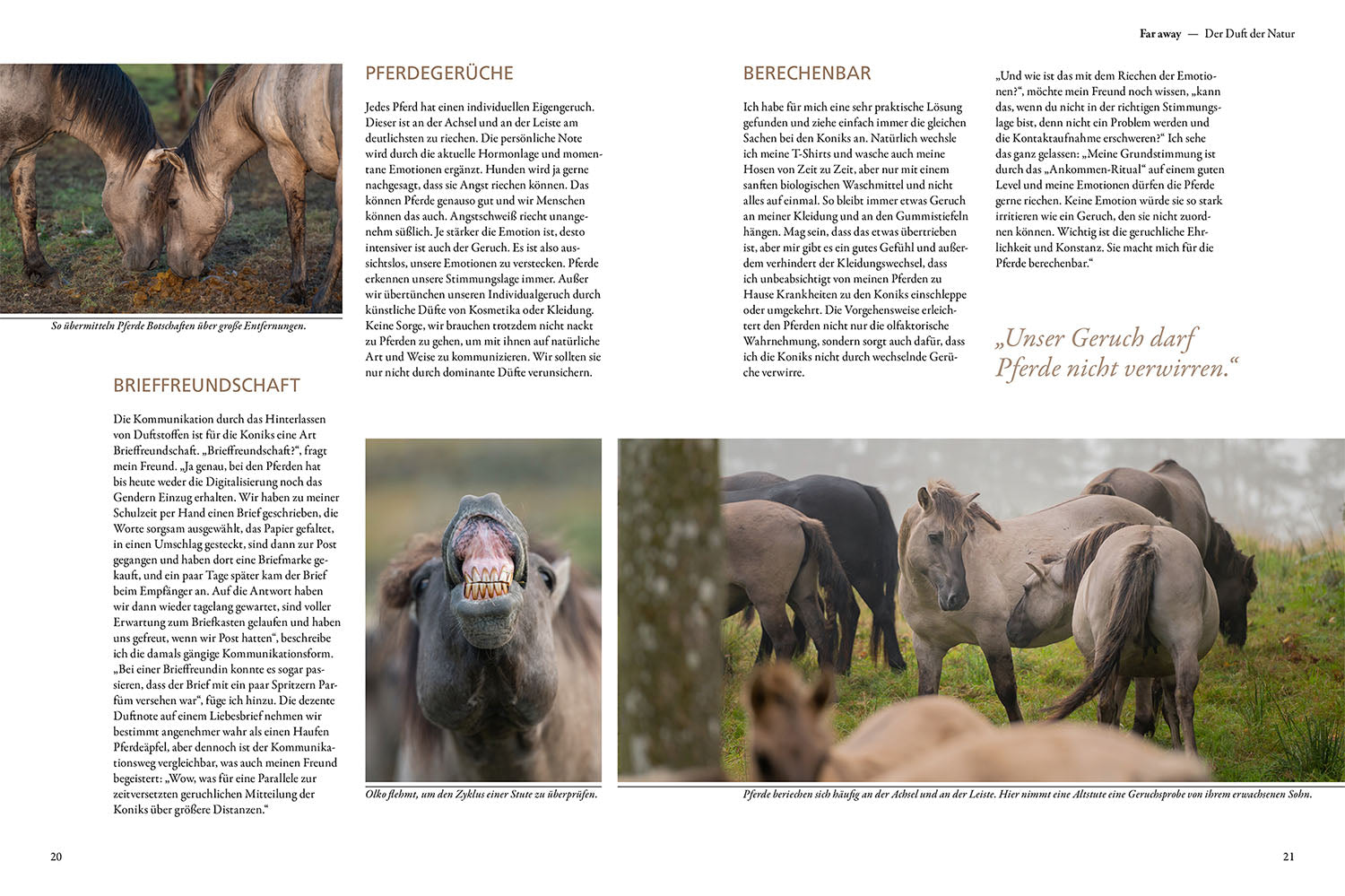 Talking to Wild Horses