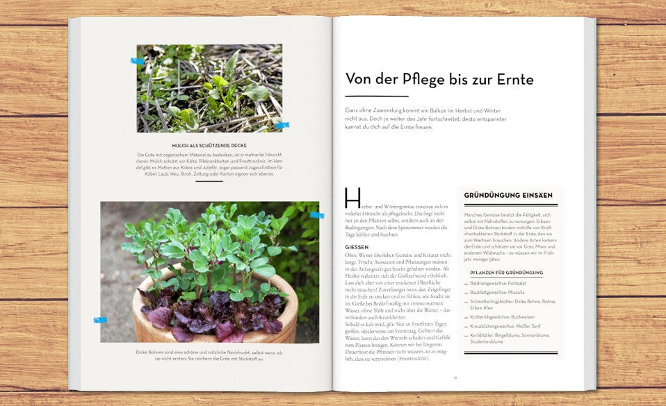 Die zweite Ernte